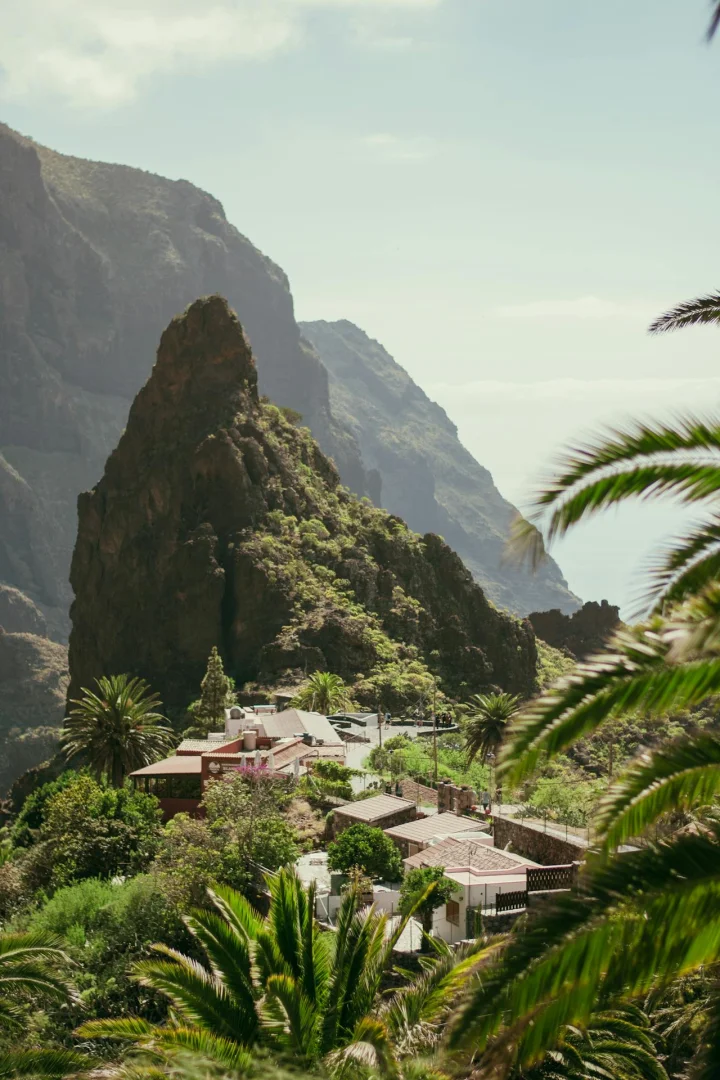 Odkryj Santa Cruz de Tenerife: Przewodnik po fascynujących atrakcjach
