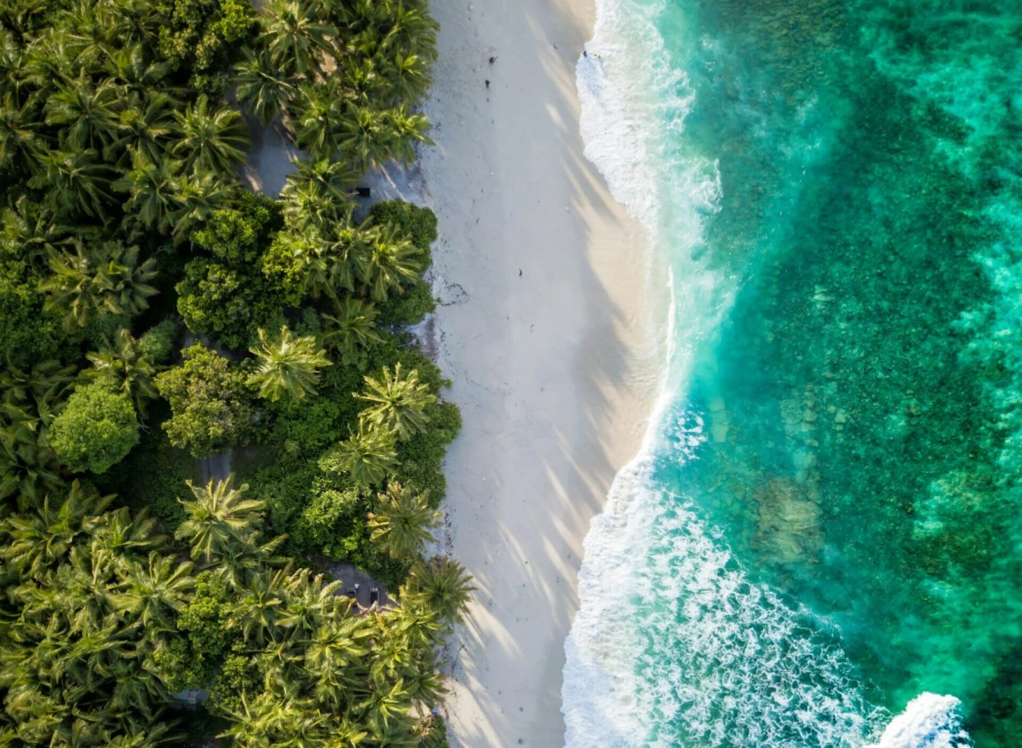 Bali czy Malediwy: Gdzie Tropikalny Raj Spotyka Rzeczywistość?