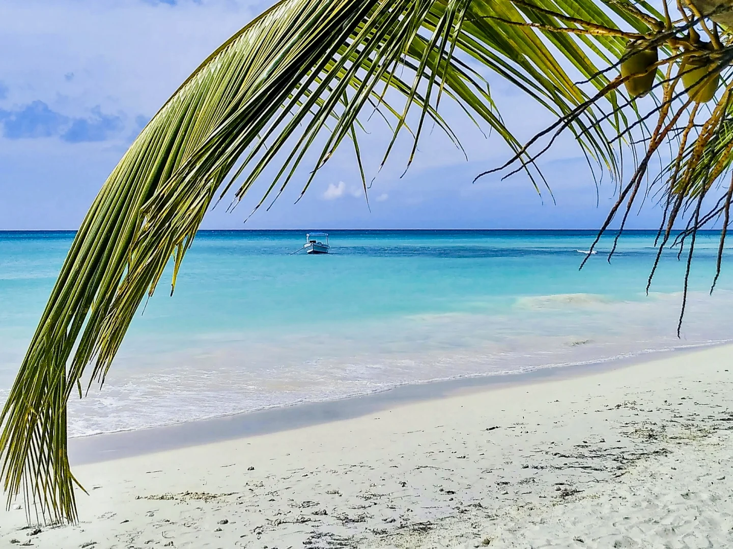 Martynika vs Dominikana: Karaibski raj – elegancja czy latynoska energia?