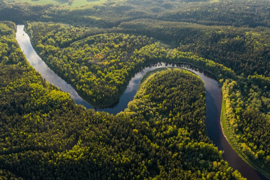 Ekoturystyka w Amazonii: Jak Zaplanować Odpowiedzialną Podróż do Serca Brazylii
