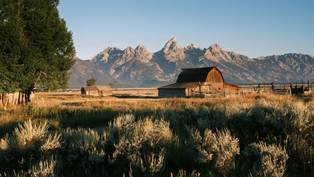 Grand Teton: 8 Najpiękniejszych Szlaków z Czasami Przejścia i Poziomem Trudności