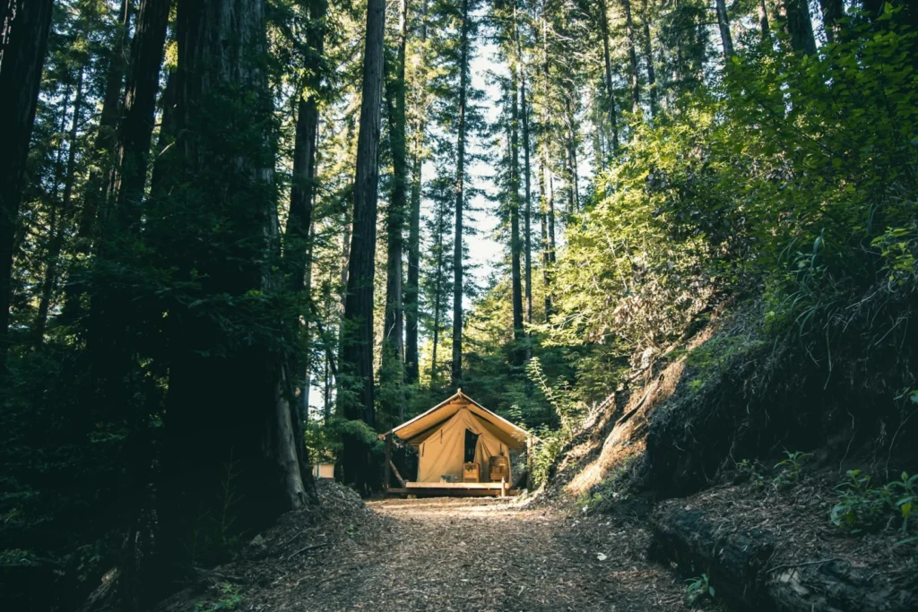 Najlepsze miejsca na glamping w Polsce