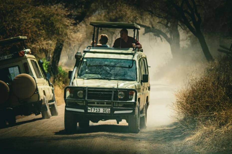 Safari w Tanzanii – kompletny przewodnik dla początkujących