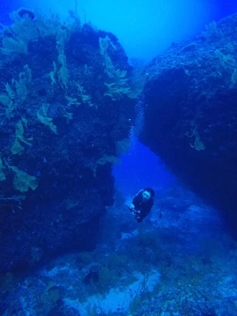 Nurkowanie 2026: top 30 diving spots świata – nurkowanie