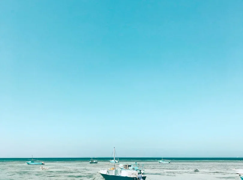 Antonio janeski VF1DjErS9QM unsplash