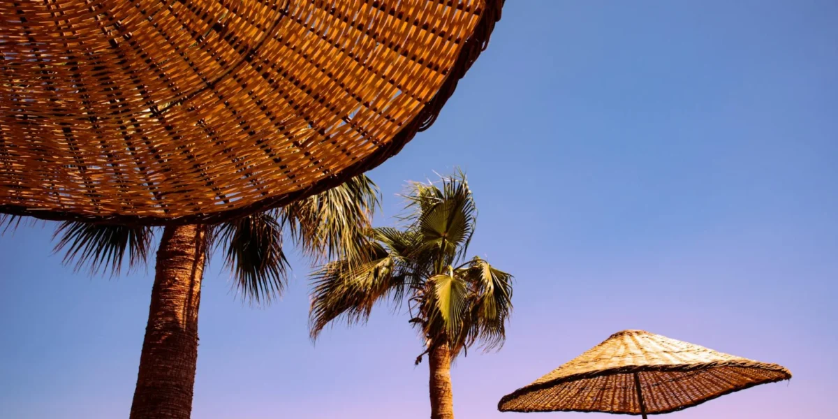 Enjoy a serene sunset at Bodrum beach featuring wicker umbrellas and palm trees under a clear sky.