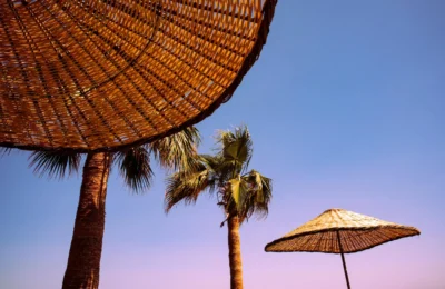 Enjoy a serene sunset at Bodrum beach featuring wicker umbrellas and palm trees under a clear sky.
