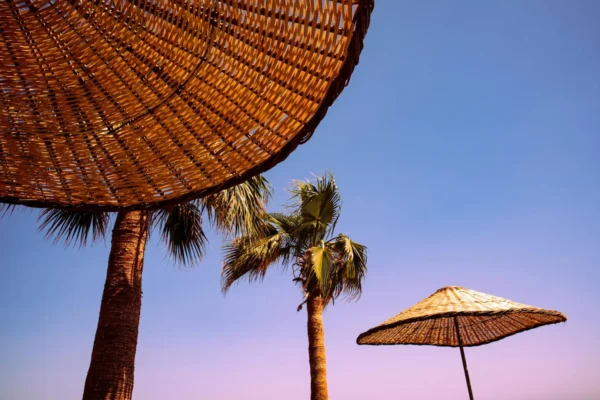 Enjoy a serene sunset at Bodrum beach featuring wicker umbrellas and palm trees under a clear sky.