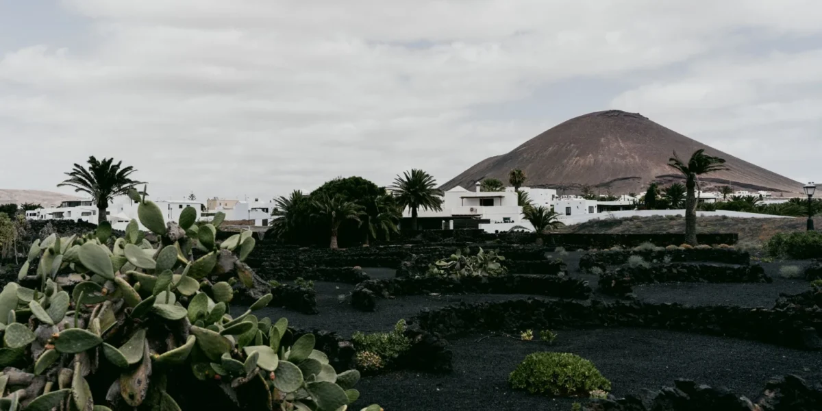 Picturesque village in Lanzarote with volcanic landscape and lush plants under a cloudy sky.