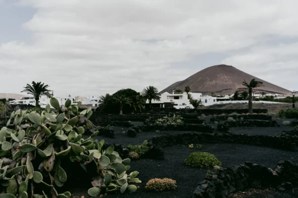 Picturesque village in Lanzarote with volcanic landscape and lush plants under a cloudy sky.