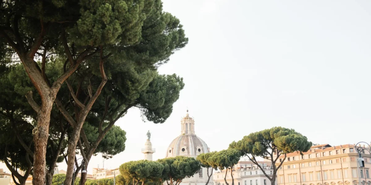 Captivating view of historic architecture and green pine trees in a European city.