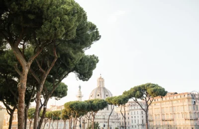 Captivating view of historic architecture and green pine trees in a European city.