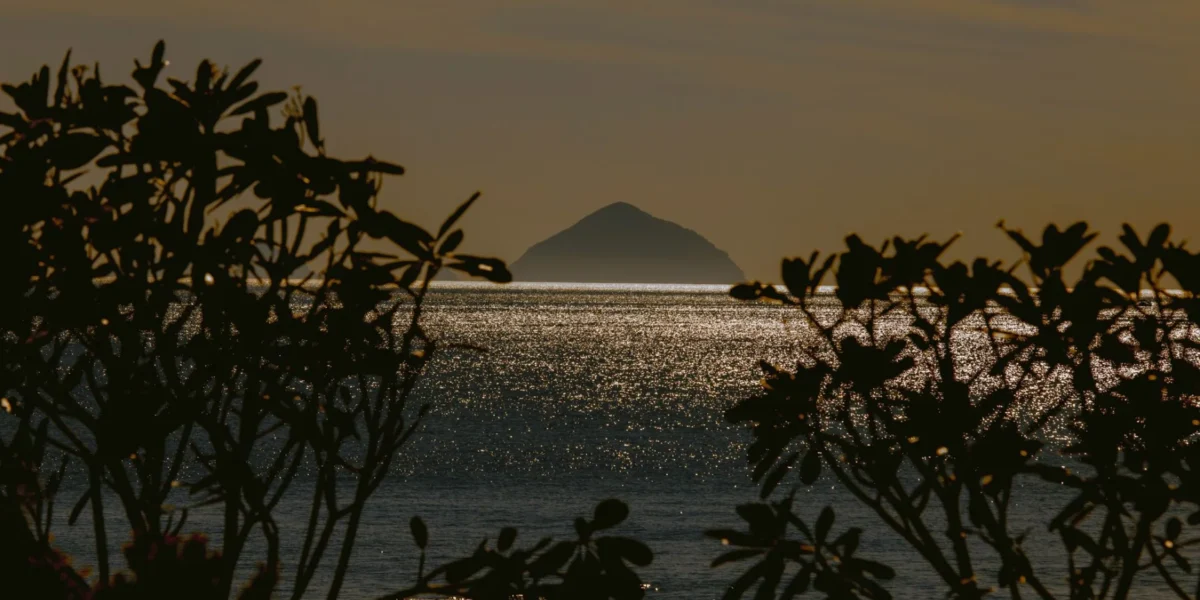 A stunning silhouette of an island seen through trees with shimmering ocean at sunset.
