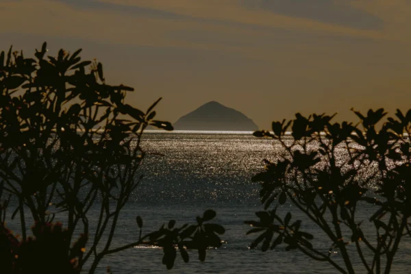 A stunning silhouette of an island seen through trees with shimmering ocean at sunset.