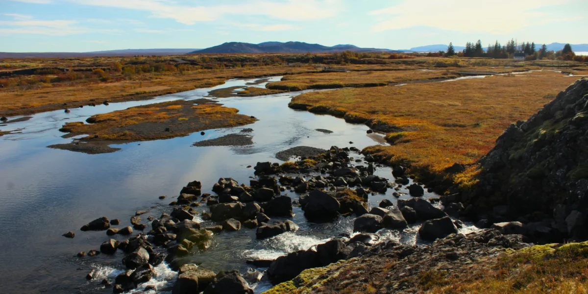 Breathtaking view of Icelandic river meandering through autumn foliage with mountains in the distance.
