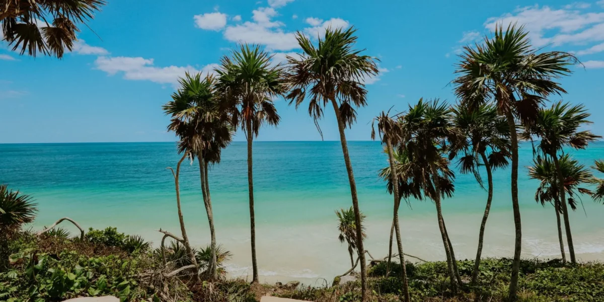Scenic view of Tulum beach with palm trees and turquoise sea under clear skies.