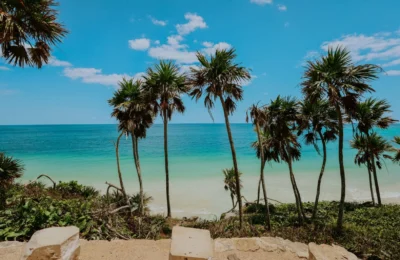 Scenic view of Tulum beach with palm trees and turquoise sea under clear skies.