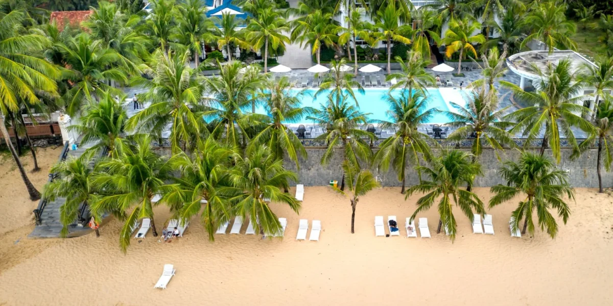 Aerial view of a tropical beachfront resort with palm trees, inviting pool, and sandy shore.