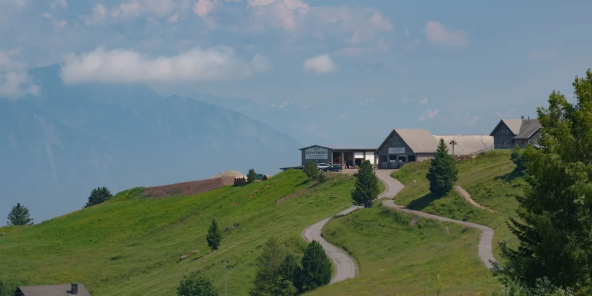 Beautiful alpine landscape with winding road and houses against a mountainous backdrop.