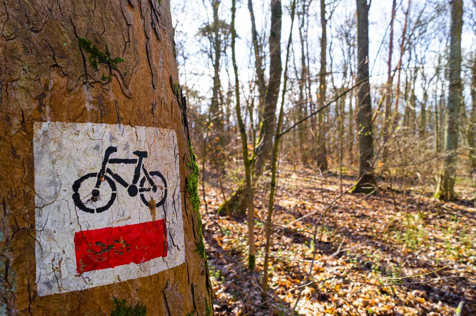 Najlepsze rowerowe trasy w Polsce na długie weekendy 2026 – przewodnik po mniej znanych szlakach