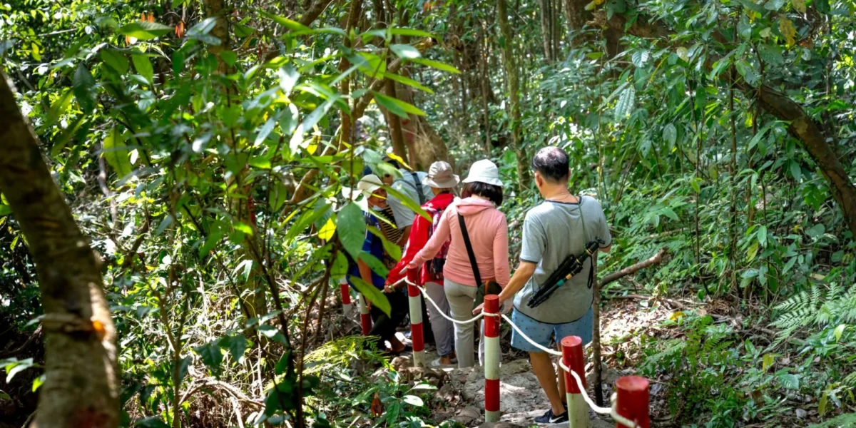 A group of tourists walking down a lush forest path surrounded by tropical foliage.