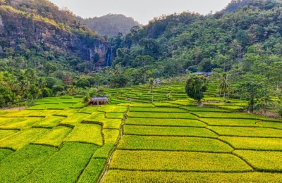 Stunning aerial view of vibrant rice terraces in West Java, Indonesia with a waterfall backdrop.