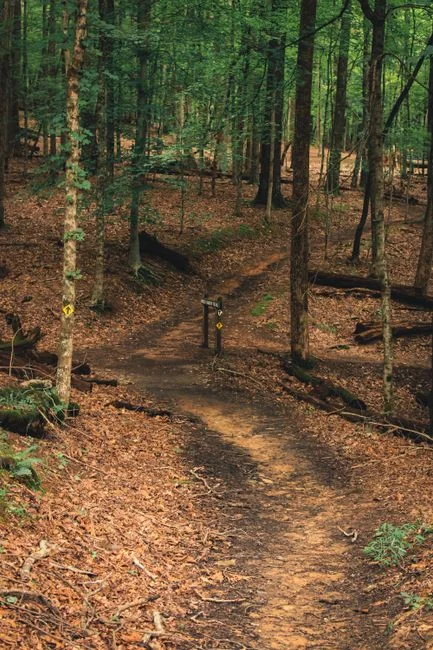 Najlepsze światowe szlaki trekkingowe dla początkujących: kompleksowy przewodnik na 2026 rok