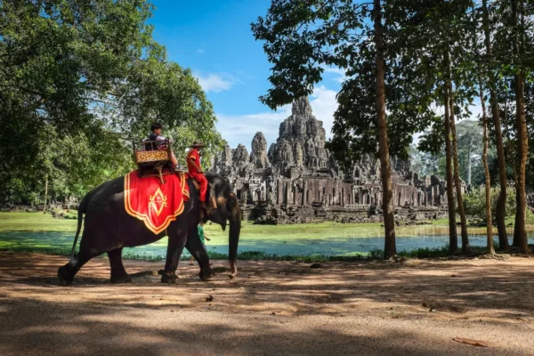 Elephant with riders at Bayon Temple in Cambodia showcasing cultural heritage and lush scenery.