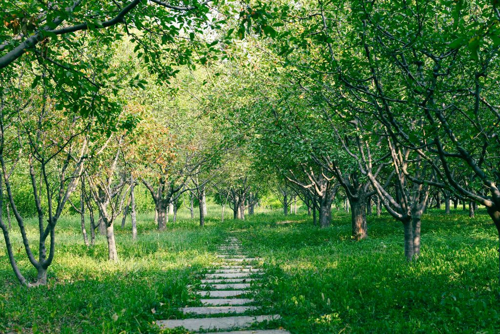 Arboretum, szlaki i przyroda - co zobaczyć poza centrum?